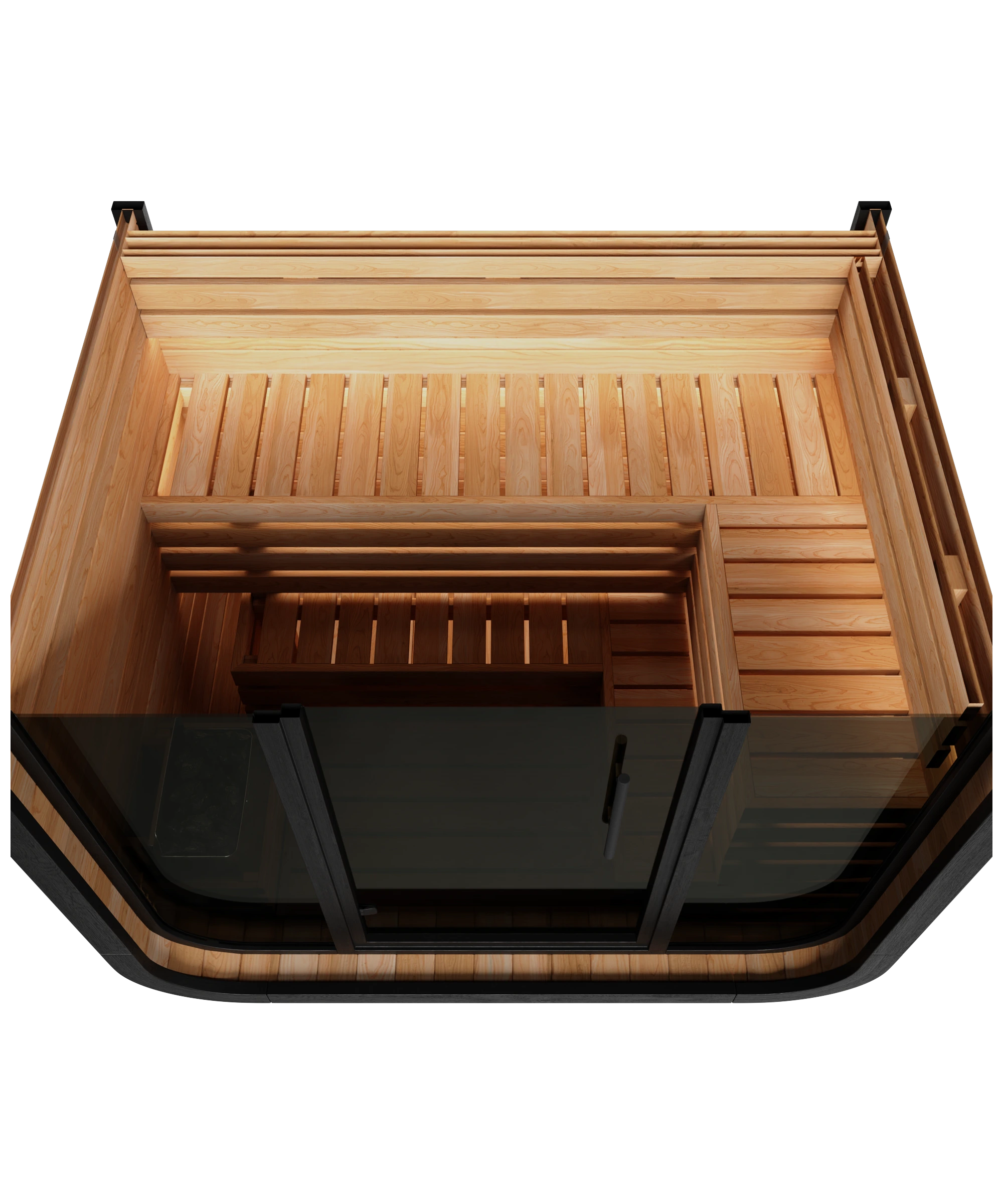 cedar:in:4